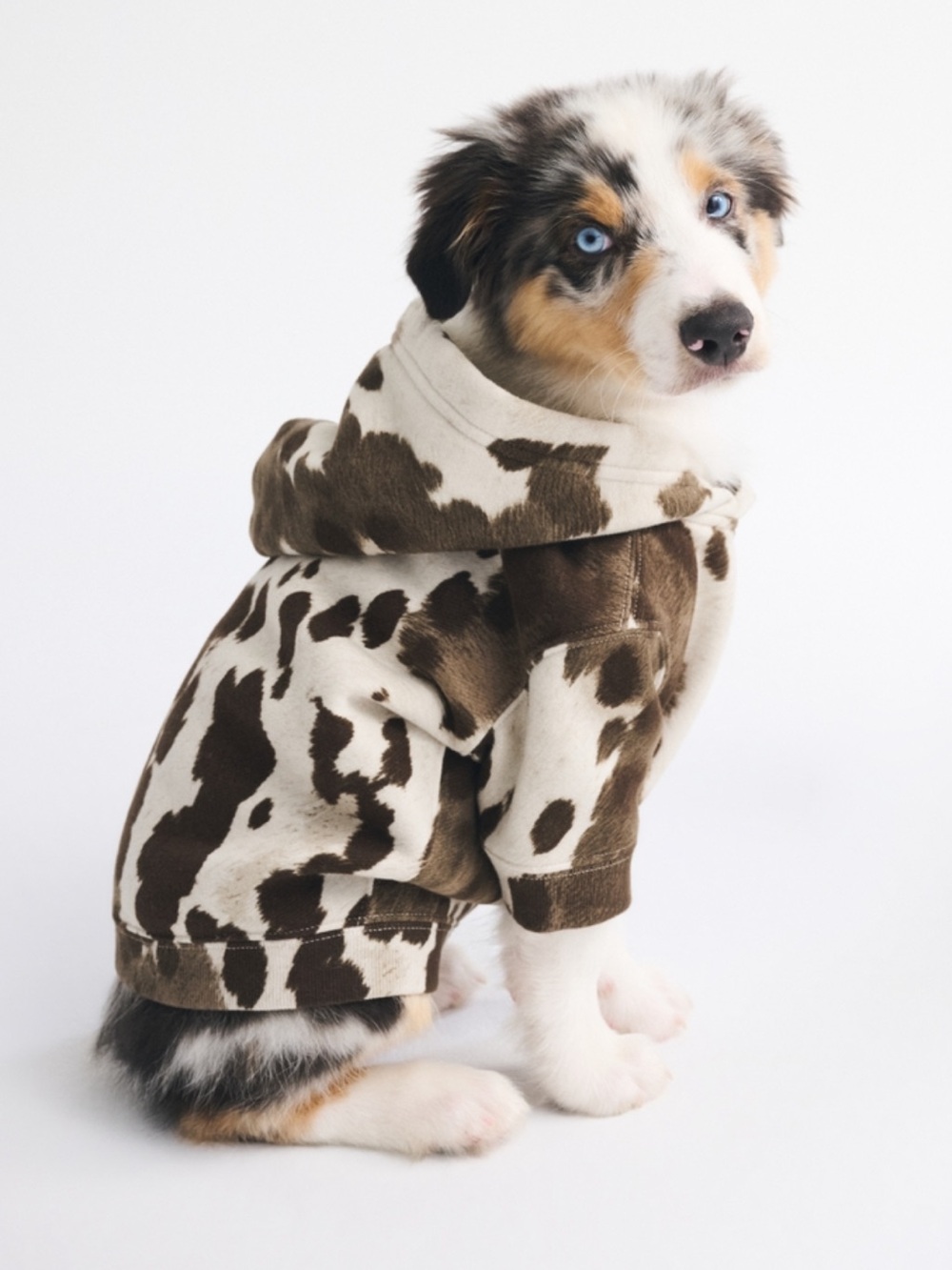 Abercrombie & Fitch A&F Essential Pet Pupover Hoodie Brown Cow Pattern Sz Large